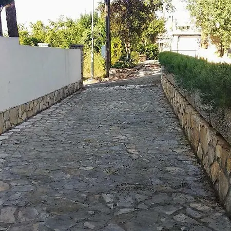 Bruno * Njivice