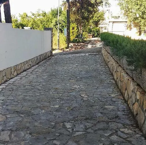 Bruno * Njivice